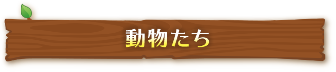動物たち