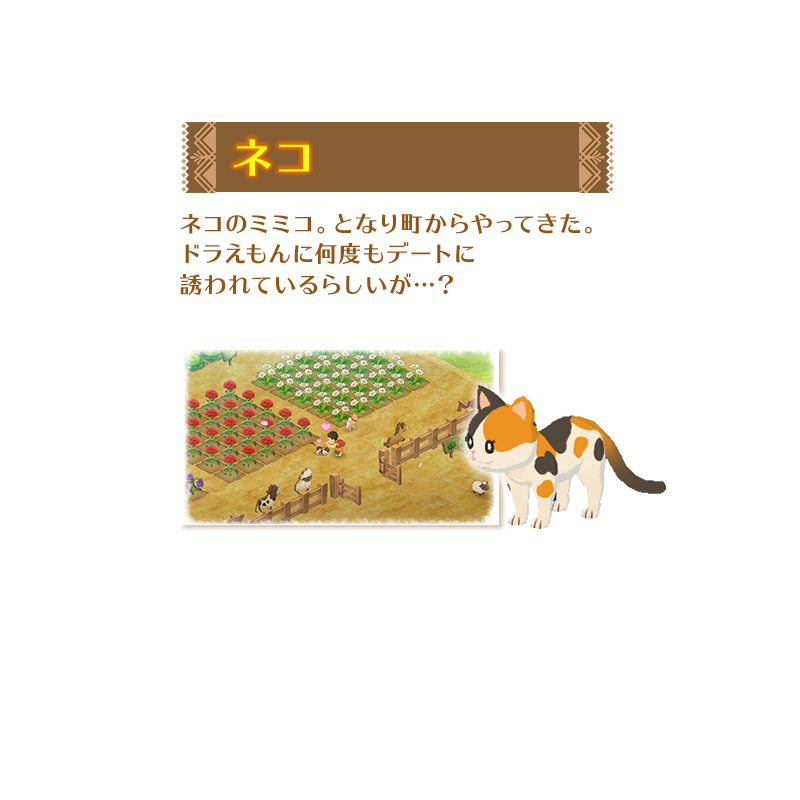 ネコ