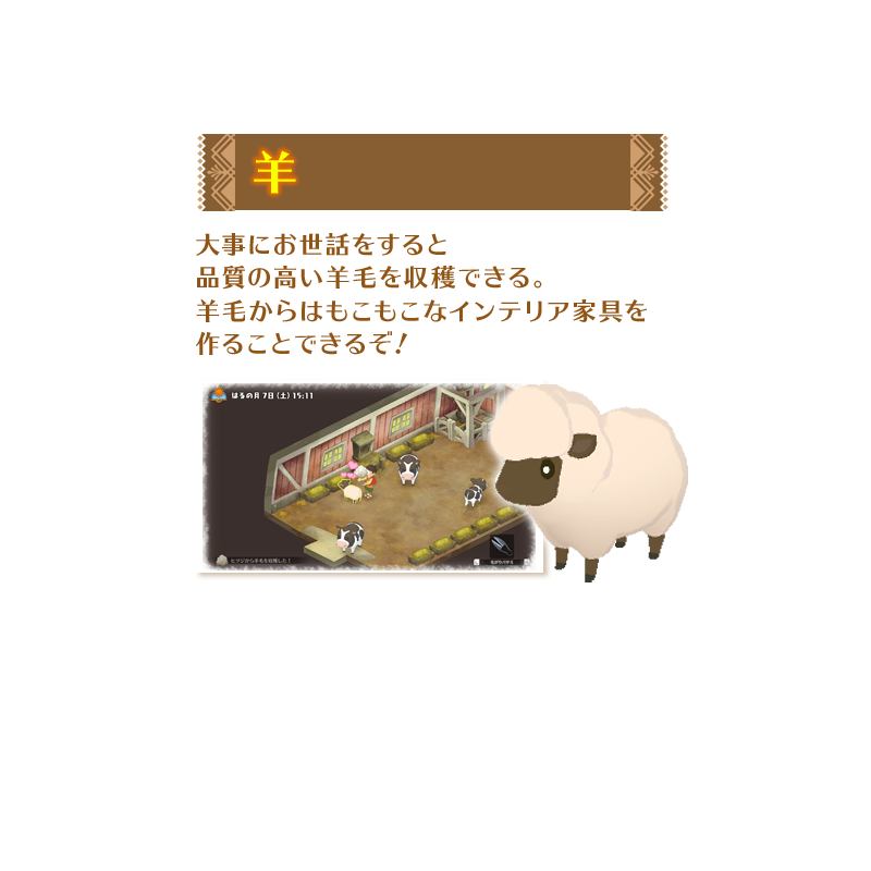羊
