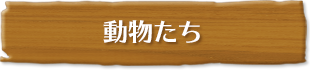 動物たち